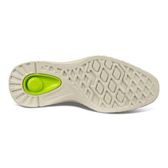 ECCO ST.1 Hybrid Lite Wingtip Brogue Shoes ECCO ST.1 Hybrid Lite Wingtip Brogue Shoes